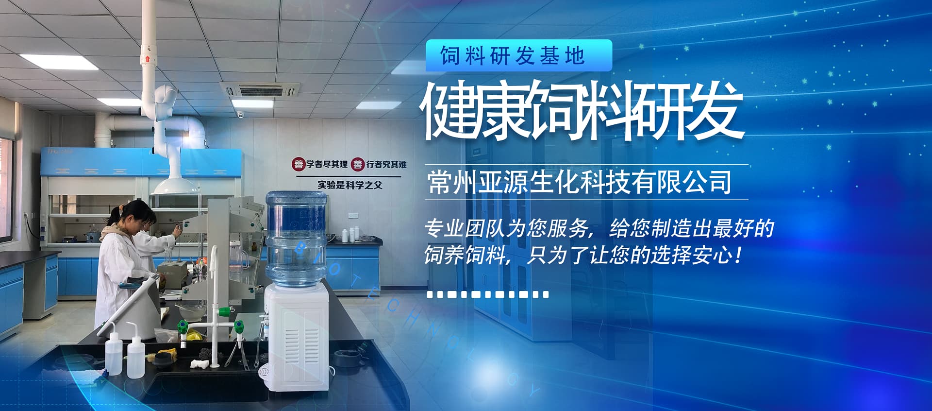 广告标题